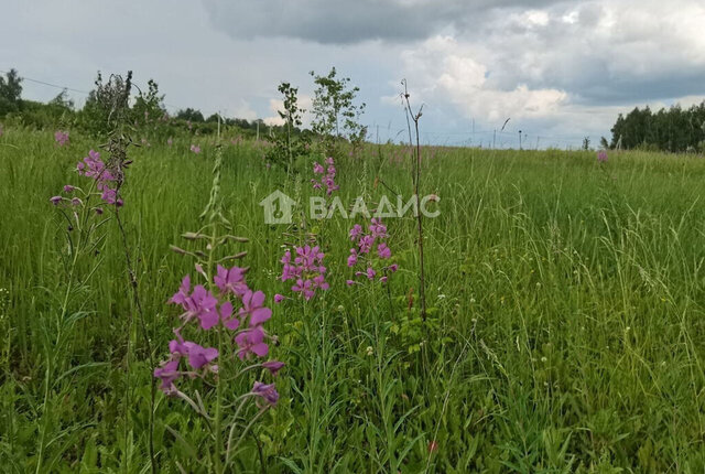 р-н мкр Сердце Малиновки фото