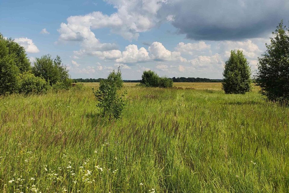 земля городской округ Шаховская территория СХ Елизарово-1 фото 8