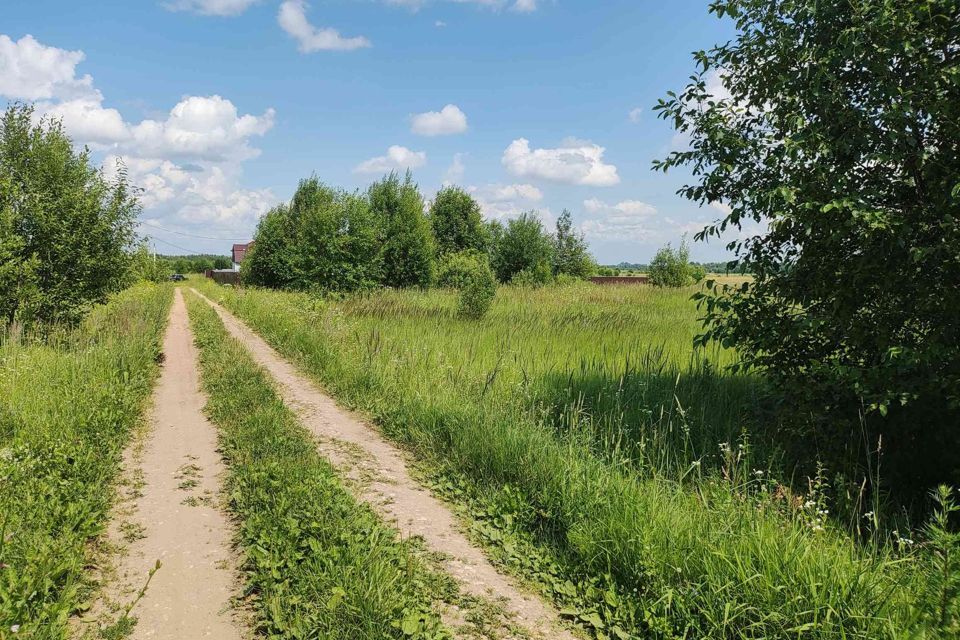 земля городской округ Шаховская территория СХ Елизарово-1 фото 10