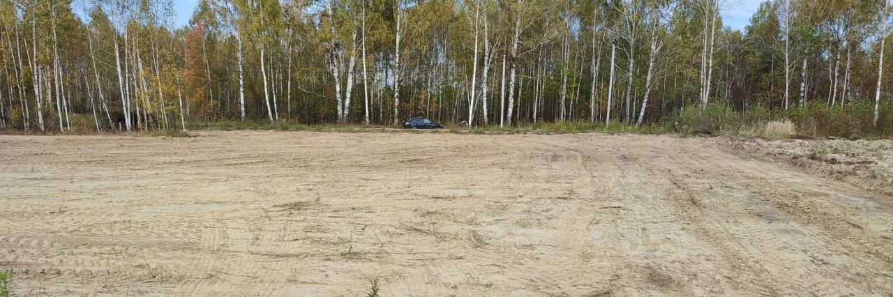 земля р-н Чкаловский д Васильково ул. Центральная, Бор городской округ фото 1