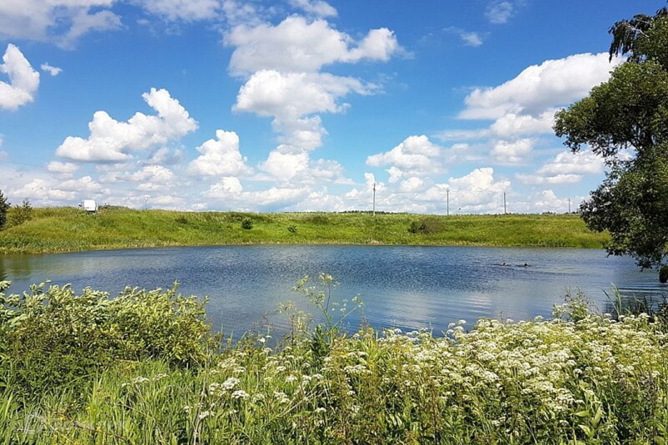 земля городской округ Ступино Светлозерье фото 5