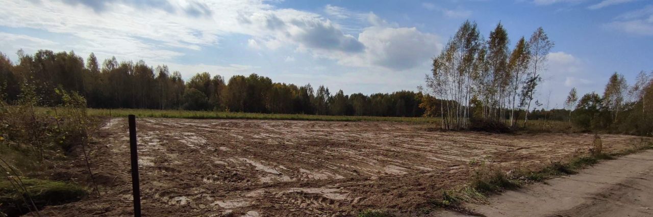 земля р-н Чкаловский д Васильково ул. Центральная, Бор городской округ фото 18