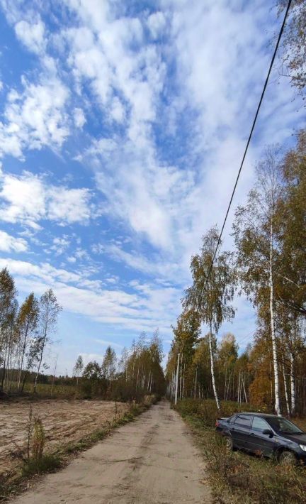 земля р-н Чкаловский д Васильково ул. Центральная, Бор городской округ фото 13