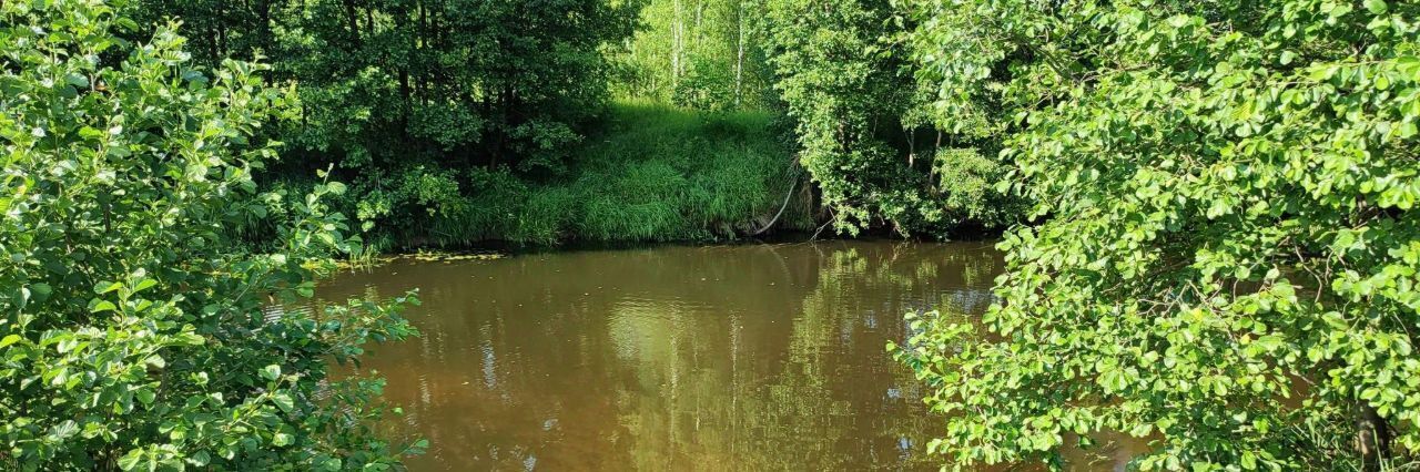 земля р-н Чкаловский д Васильково ул. Центральная, Бор городской округ фото 16