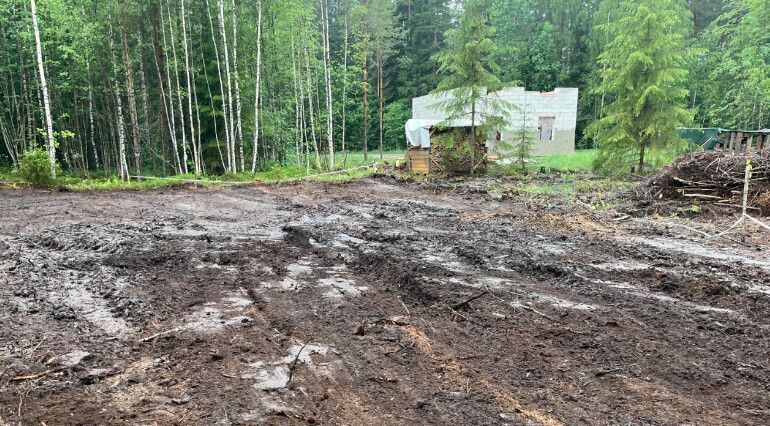 земля Всеволожское городское поселение, СОСН Бирюлинская тер фото 3