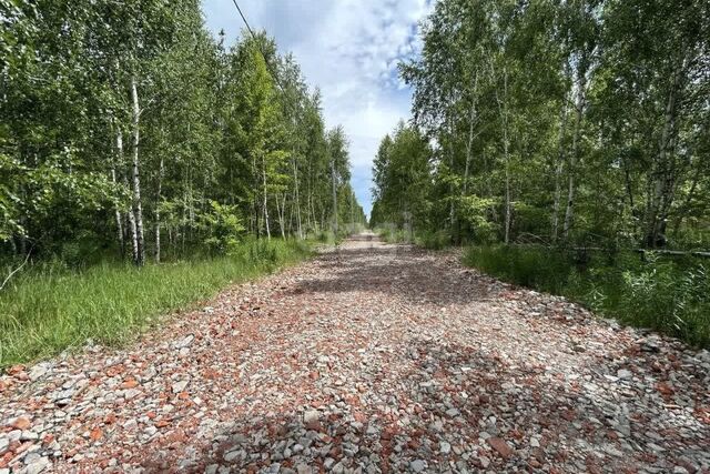 с Бабяково ул Березовая 11 Бабяковское сельское поселение фото