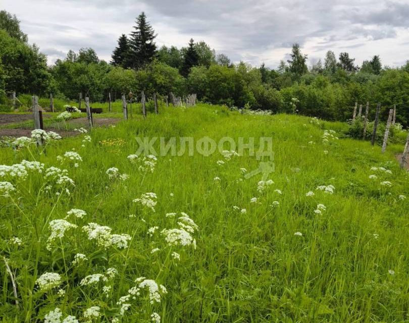 земля р-н Приморский деревня Чёрный Яр фото 2