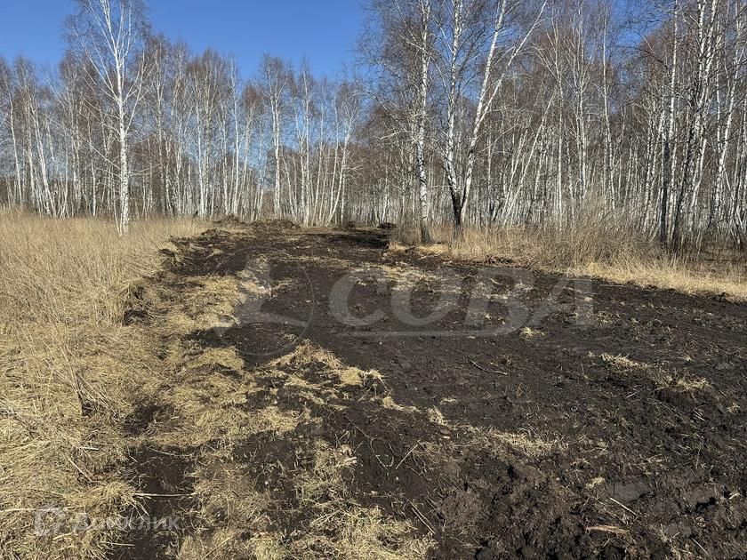 земля г Тюмень снт Облепиховое ул Липовая 152 городской округ Тюмень фото 2