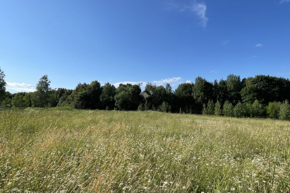 земля г Калуга городской округ Калуга, Квань фото 5