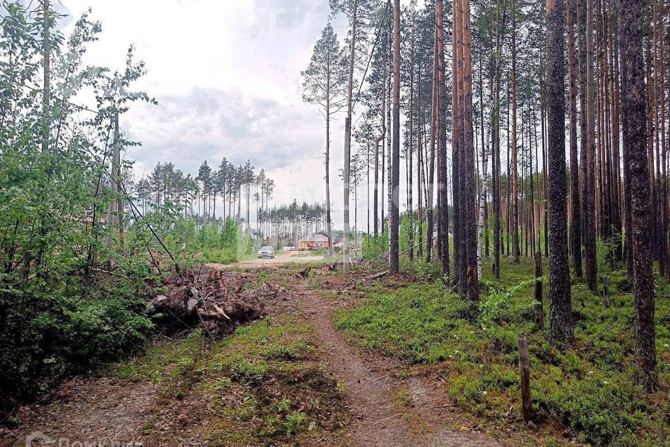 земля г Сыктывкар пгт Краснозатонский ул Линейная городской округ Сыктывкар фото 6