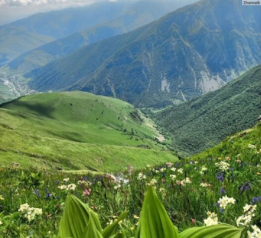 Республика Северная Осетия — Алагирский р-н, ул. Ю. Дзтиева, 7, Алагир фото