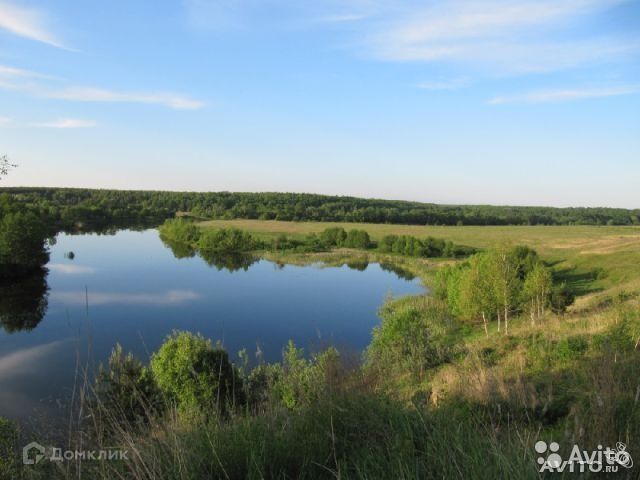 земля р-н Кораблинский деревня Григорьевское фото 4