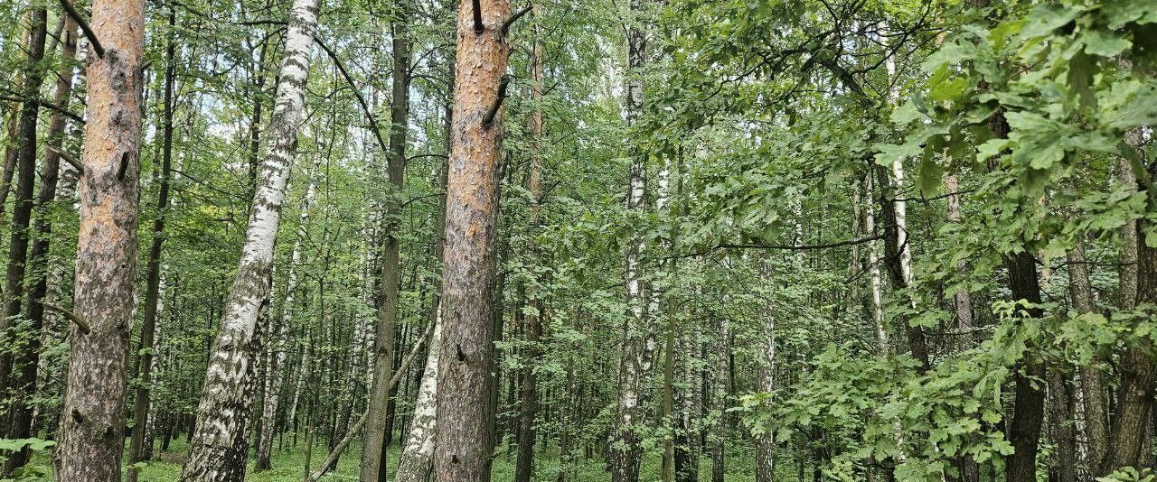 земля г Красногорск снт Красногорский садовод-1 Красногорская, 107 фото 14