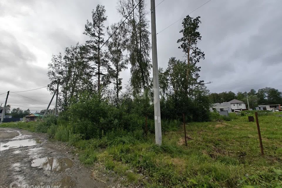 земля г Екатеринбург р-н Чкаловский Екатеринбург городской округ, Чкаловский фото 2