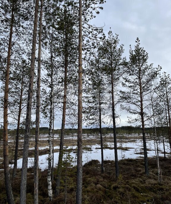 земля г Архангельск КИЗ Славянка фото 4