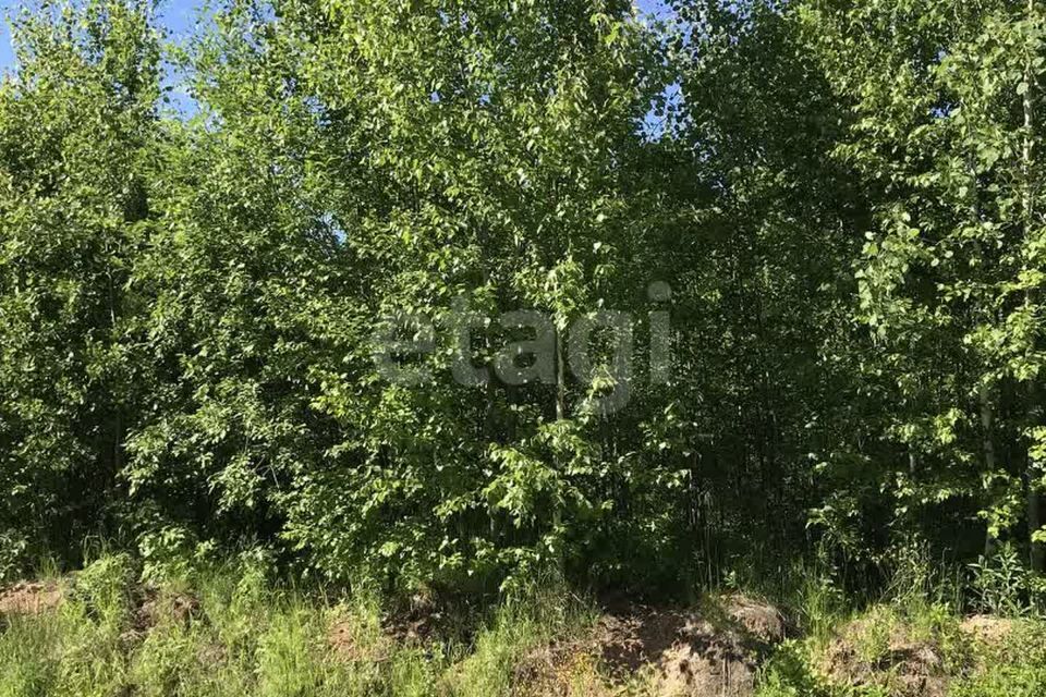 земля городской округ Сыктывкар, территория Эжвинский, СНТ Заря фото 1