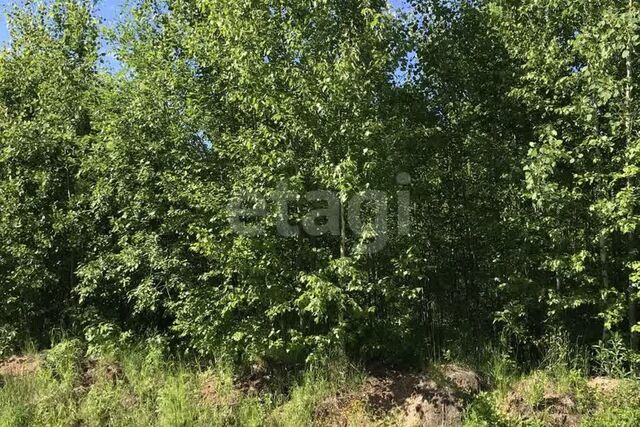 городской округ Сыктывкар, территория Эжвинский, СНТ Заря фото