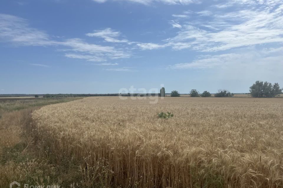 земля р-н Сакский село Михайловка фото 3