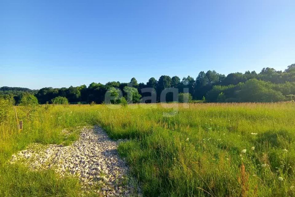 земля р-н Ферзиковский село Авчурино фото 6