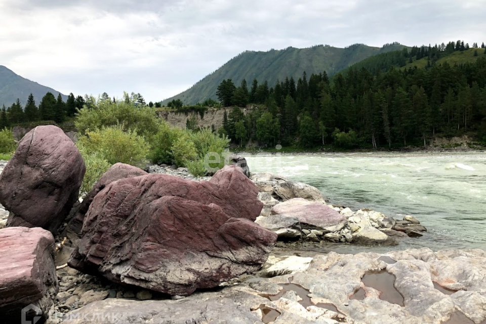 земля р-н Онгудайский село Шашикман фото 9