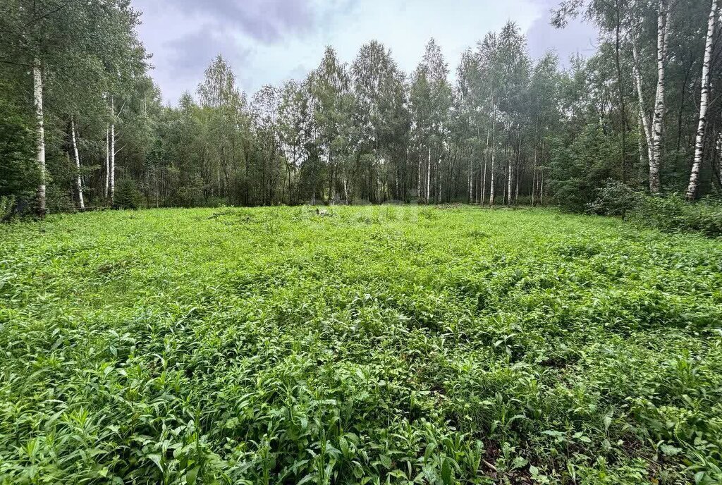 земля г Раменское снт Пион Дмитровский городской округ фото 2