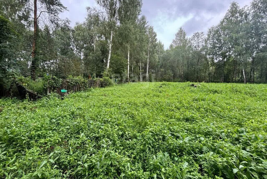 земля г Раменское снт Пион Дмитровский городской округ фото 3