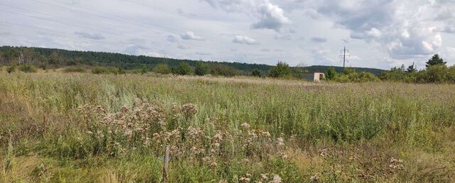 снт Лесная поляна сельское поселение Сухотинский сельсовет, Котовск фото