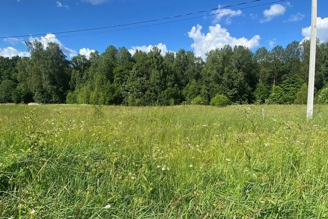 д Лихун городской округ Калуга, 275 фото