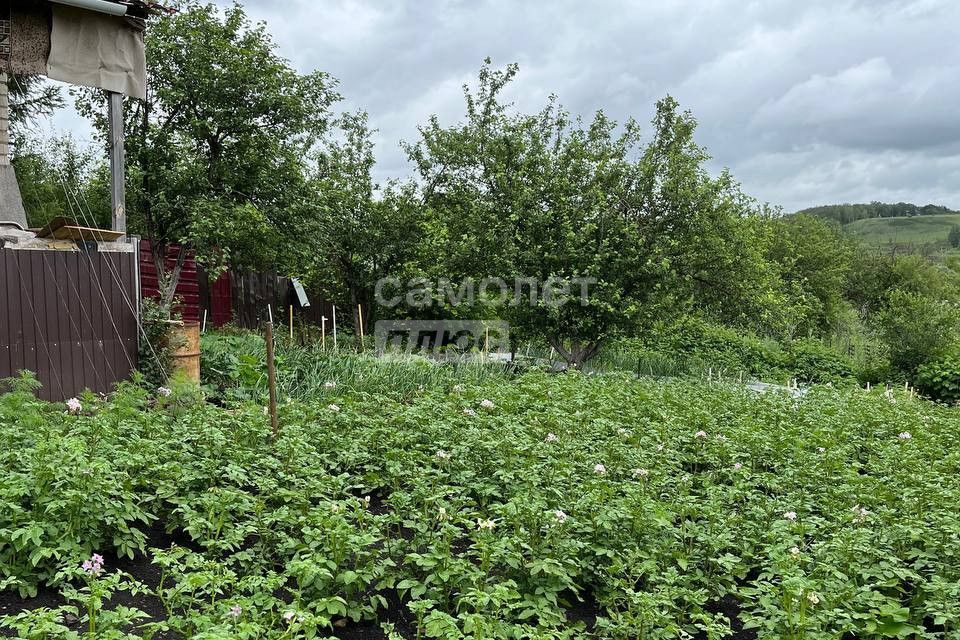 земля г Октябрьский городской округ Октябрьский, СНТ Дубки-1 фото 1