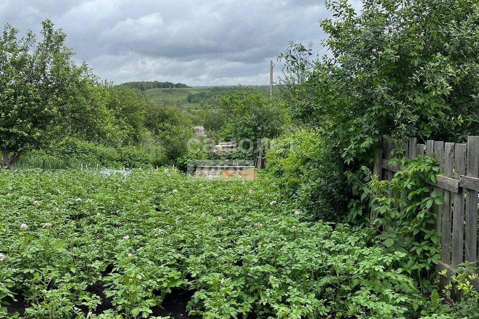 земля г Октябрьский городской округ Октябрьский, СНТ Дубки-1 фото 3