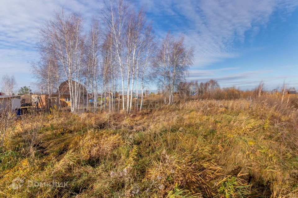 земля г Тюмень снт Яровское ул Восточная 9а городской округ Тюмень фото 6