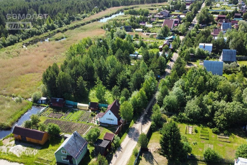 земля муниципальное образование Северодвинск, СОТ Зелёный Бор фото 5