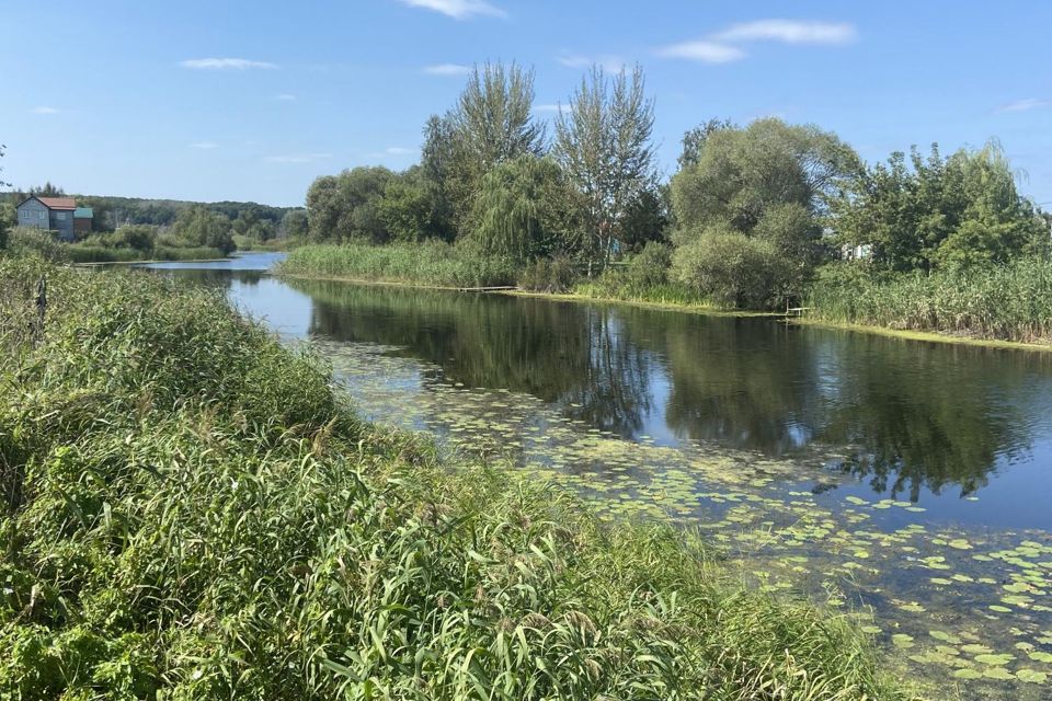 земля р-н Новоусманский село Рождественская Хава фото 3