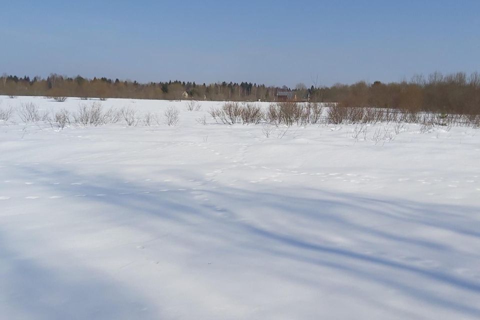 земля городской округ Талдомский деревня Аймусово фото 9