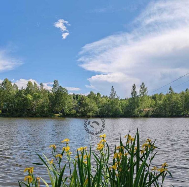 земля р-н Перемышльский д Еловка ул Ягодная с пос, Большие Козлы фото 4