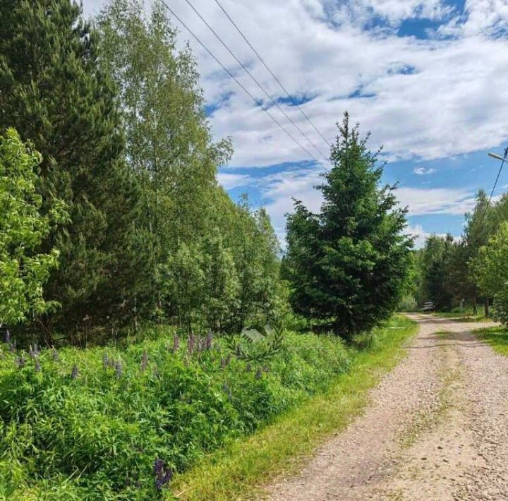 земля р-н Перемышльский д Еловка ул Ягодная с пос, Большие Козлы фото 10