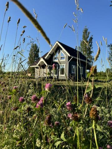 пер Лесной Рощинское городское поселение, Первомайское фото