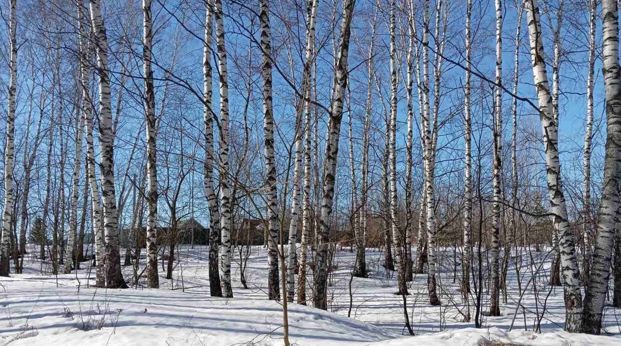 земля р-н Богородский п Зеленый Дол с пос фото 1