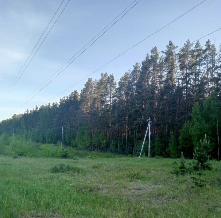 земля р-н Лысковский с Нижний Красный Яр ул Лесная 9в фото 2