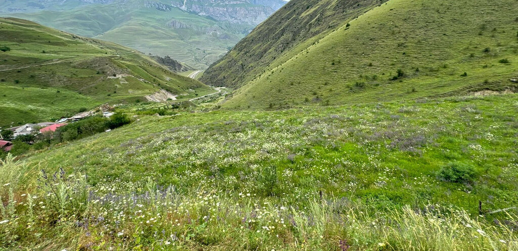 земля р-н Алагирский с Дзуарикау Фиагдонское сельское поселение фото 2