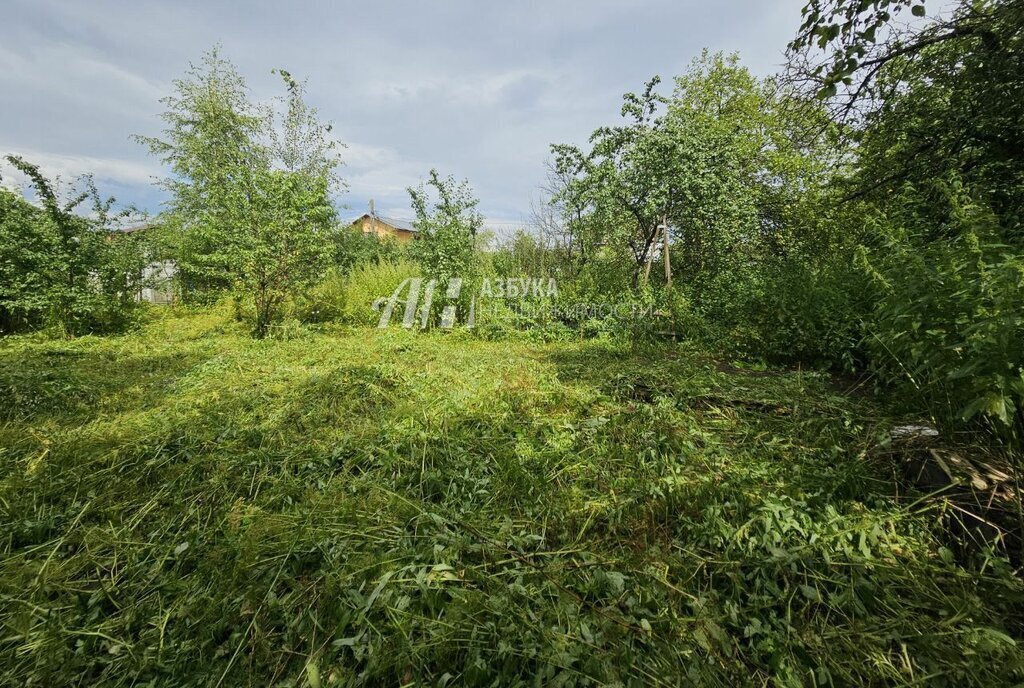 земля городской округ Богородский г Ногинск ул Тенистая фото 2