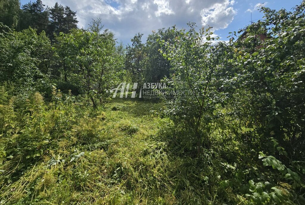 земля городской округ Богородский г Ногинск ул Тенистая фото 9