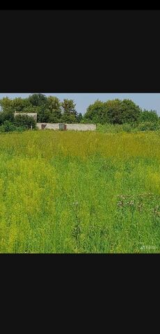 с Череново ул Шлях Череновское сельское поселение, Ивня фото