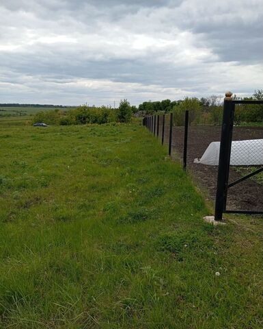 земля ул Менделеева Хохольское городское поселение фото