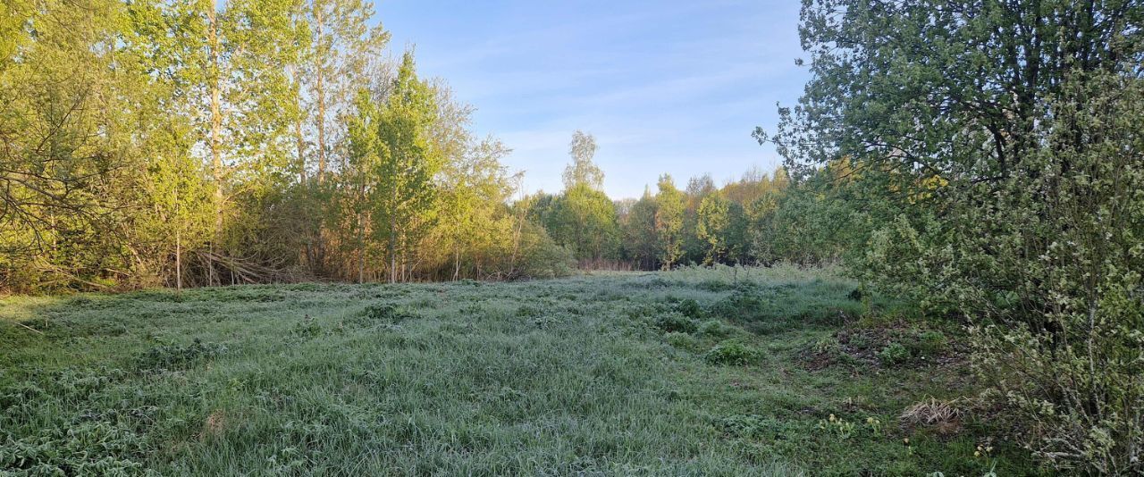 земля р-н Куньинский д Карево Жижицкая волость фото 7