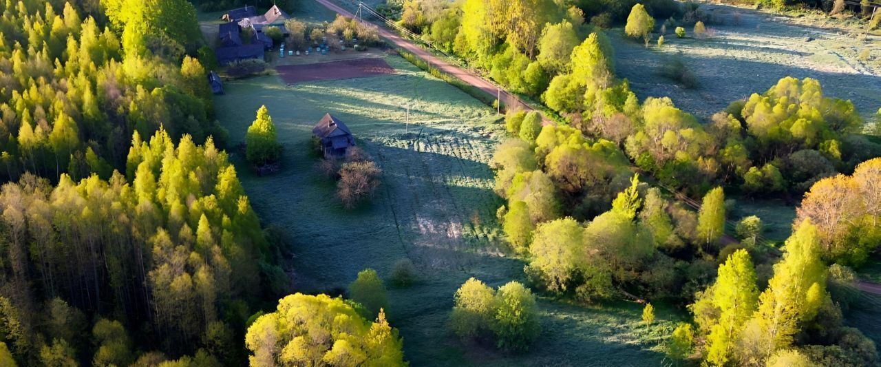 земля р-н Куньинский д Карево Жижицкая волость фото 14