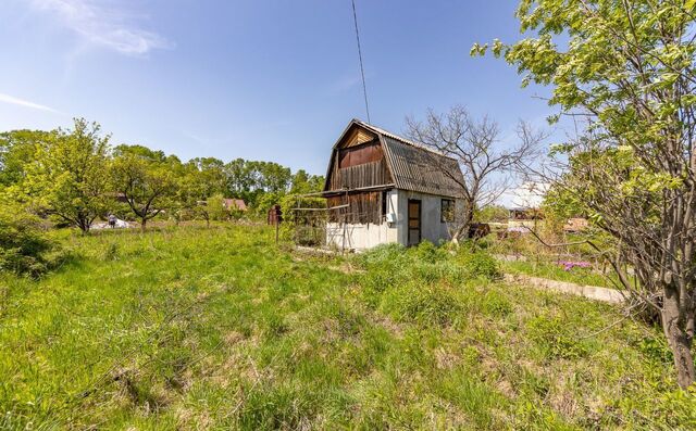 снт Рябинка Хабаровск фото