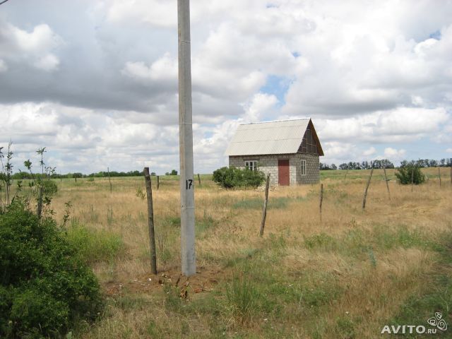 земля р-н Цимлянский п Саркел фото 1