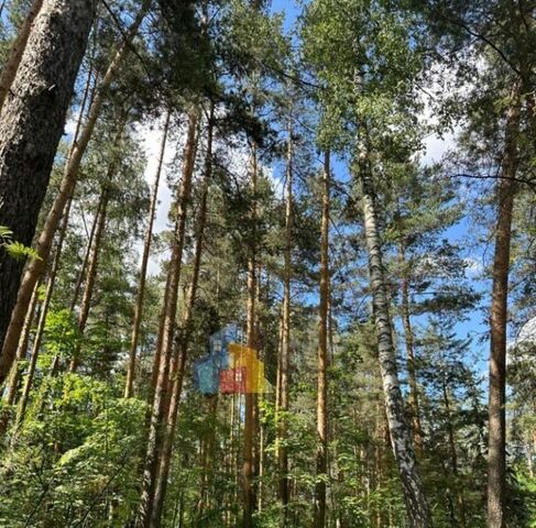 потребительский кооператив, Московская область, Одинцовский городской округ, д. Раздоры, садоводческий, 9-2 фото