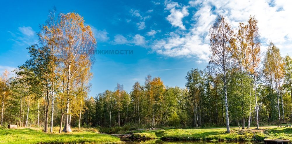 земля р-н Всеволожский Заневское городское поселение, ш. Колтушское фото 8